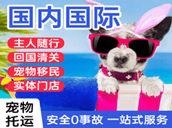 天水麦积山机场托运国际宠物托运 【国